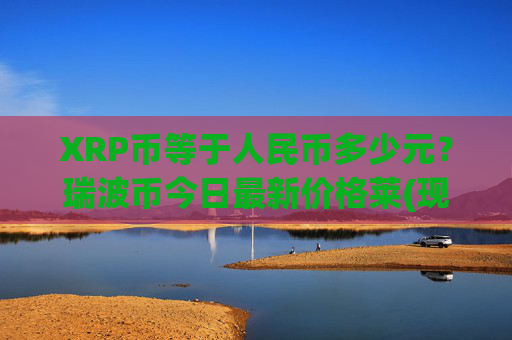 XRP币等于人民币多少元？瑞波币今日最新价格莱(现价17.2202元)