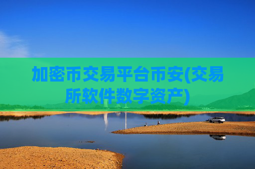 加密币交易平台币安(交易所软件数字资产)
