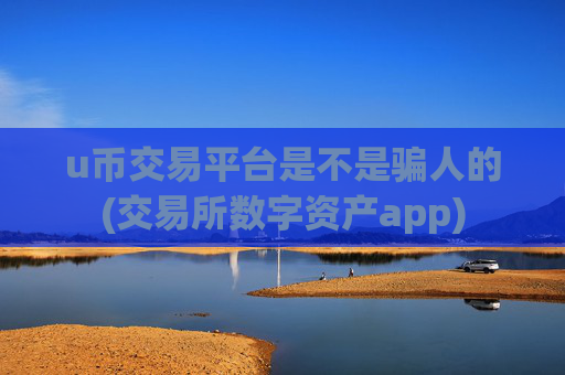 u币交易平台是不是骗人的(交易所数字资产app)