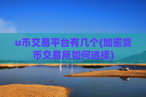 u币交易平台有几个(加密货币交易所如何选择)