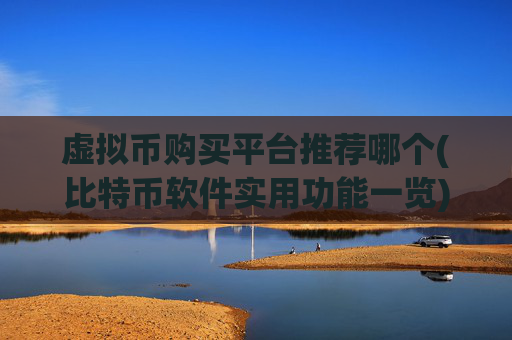 虚拟币购买平台推荐哪个(比特币软件实用功能一览)