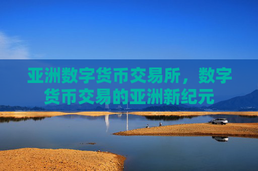 亚洲数字货币交易所，数字货币交易的亚洲新纪元