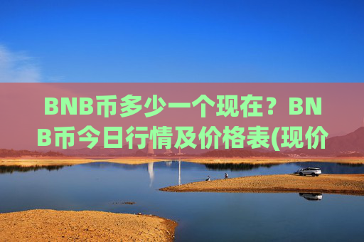 BNB币多少一个现在？BNB币今日行情及价格表(现价5265.75元)