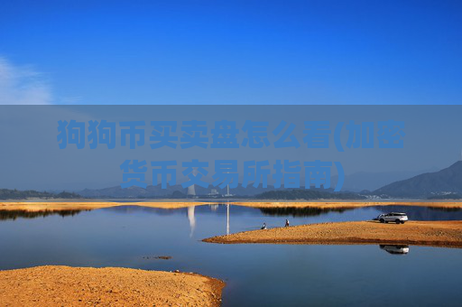 狗狗币买卖盘怎么看(加密货币交易所指南)