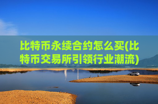 比特币永续合约怎么买(比特币交易所引领行业潮流)