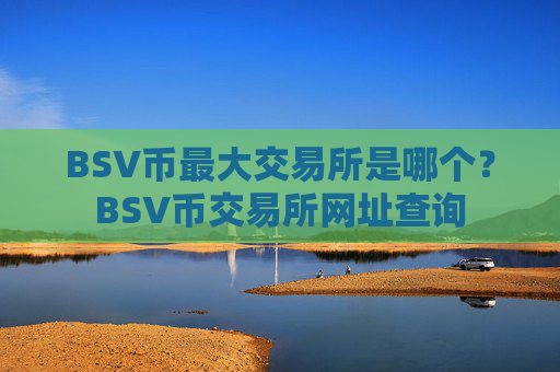 BSV币最大交易所是哪个？BSV币交易所网址查询