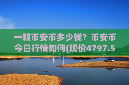 一颗币安币多少钱？币安币今日行情如何(现价4797.53元)