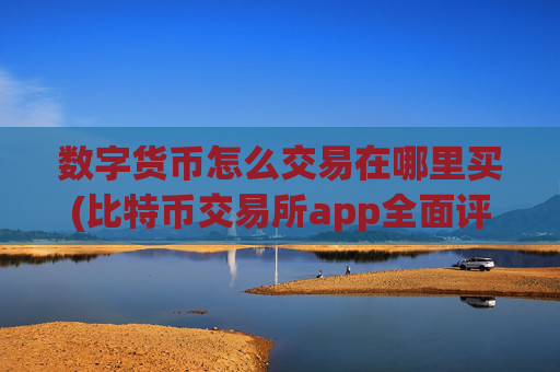 数字货币怎么交易在哪里买(比特币交易所app全面评估)