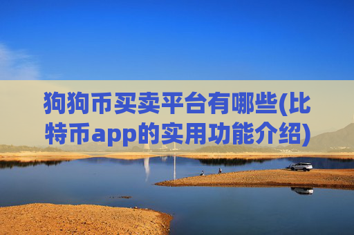 狗狗币买卖平台有哪些(比特币app的实用功能介绍)