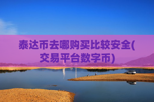 泰达币去哪购买比较安全(交易平台数字币)