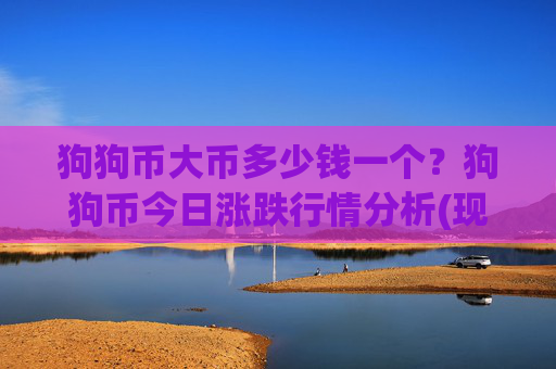 狗狗币大币多少钱一个？狗狗币今日涨跌行情分析(现价2.3578元)