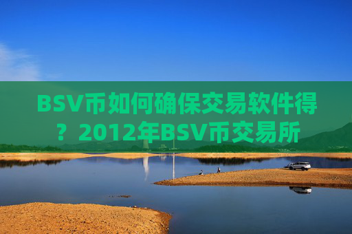 BSV币如何确保交易软件得？2012年BSV币交易所
