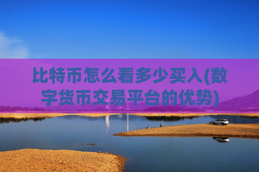 比特币怎么看多少买入(数字货币交易平台的优势)