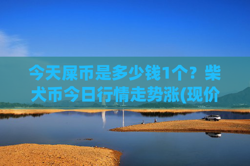 今天屎币是多少钱1个？柴犬币今日行情走势涨(现价0.00023163元)