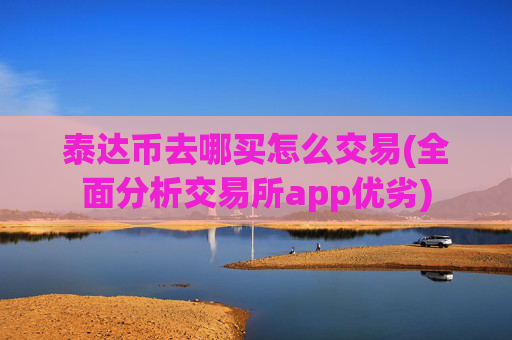 泰达币去哪买怎么交易(全面分析交易所app优劣)