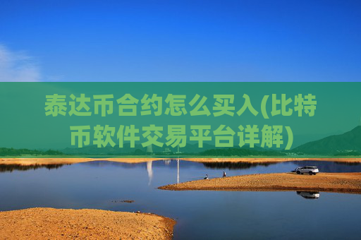 泰达币合约怎么买入(比特币软件交易平台详解)