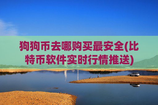 狗狗币去哪购买最安全(比特币软件实时行情推送)