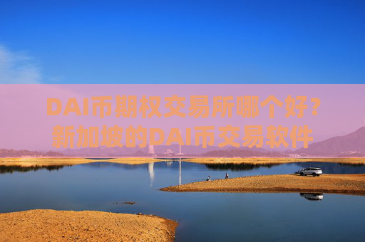 DAI币期权交易所哪个好？新加坡的DAI币交易软件