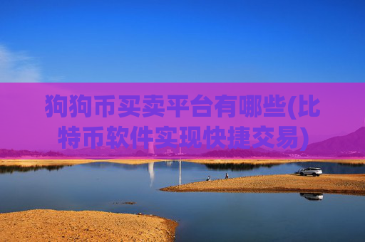 狗狗币买卖平台有哪些(比特币软件实现快捷交易)