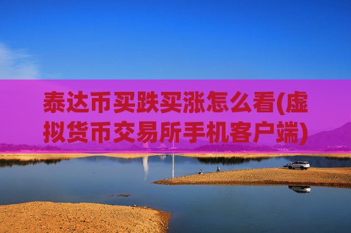 泰达币买跌买涨怎么看(虚拟货币交易所手机客户端)