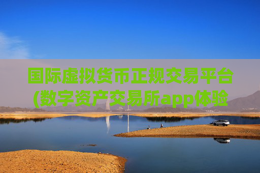 国际虚拟货币正规交易平台(数字资产交易所app体验点评)