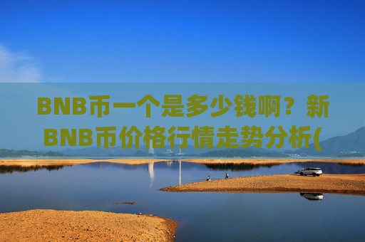 BNB币一个是多少钱啊？新BNB币价格行情走势分析(现价5282.74元)