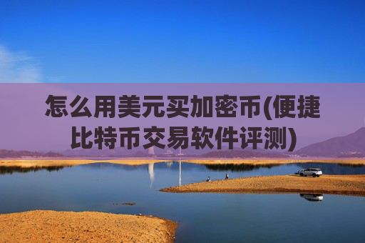 怎么用美元买加密币(便捷比特币交易软件评测)