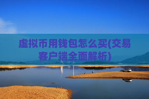 虚拟币用钱包怎么买(交易客户端全面解析)