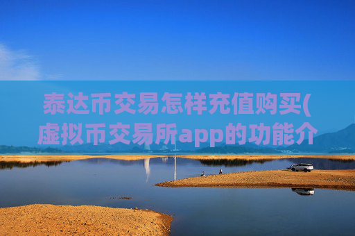 泰达币交易怎样充值购买(虚拟币交易所app的功能介绍)