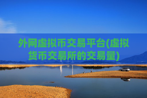 外网虚拟币交易平台(虚拟货币交易所的交易量)