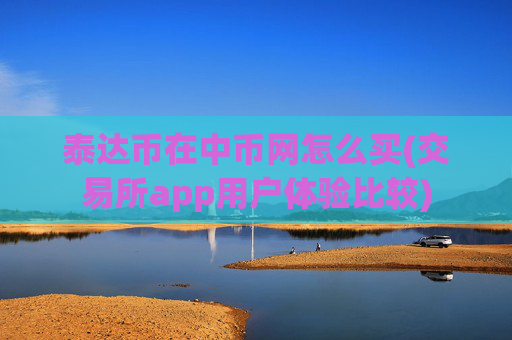 泰达币在中币网怎么买(交易所app用户体验比较)