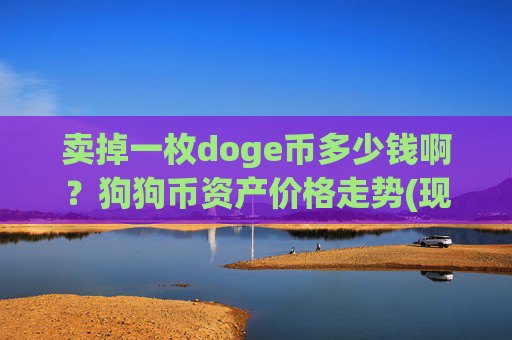 卖掉一枚doge币多少钱啊？狗狗币资产价格走势(现价3.2864元)