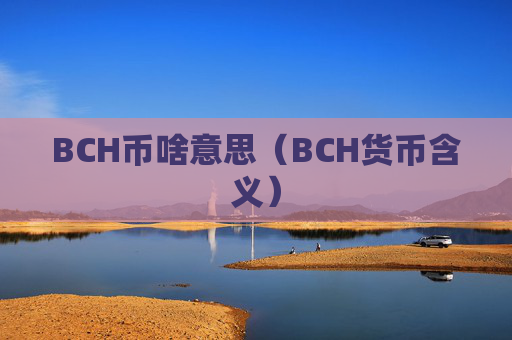 BCH币啥意思（BCH货币含义）