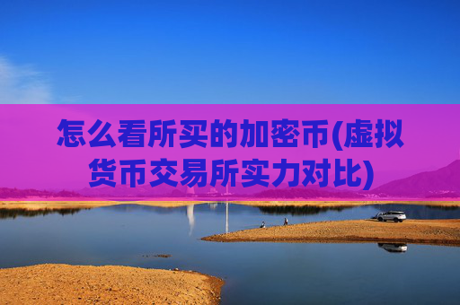 怎么看所买的加密币(虚拟货币交易所实力对比)