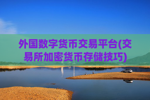 外国数字货币交易平台(交易所加密货币存储技巧)