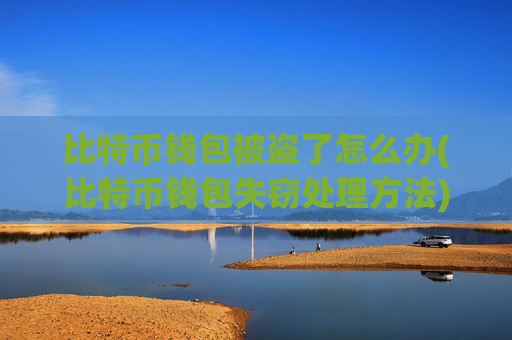 比特币钱包被盗了怎么办(比特币钱包失窃处理方法)