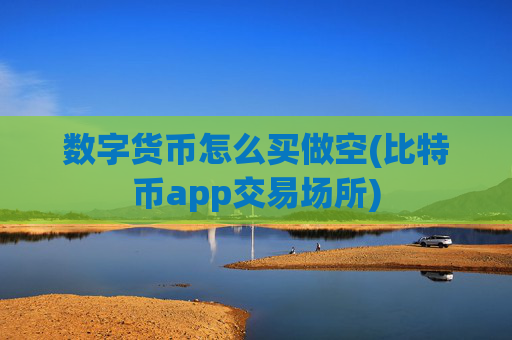 数字货币怎么买做空(比特币app交易场所)