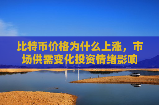比特币价格为什么上涨，市场供需变化投资情绪影响
