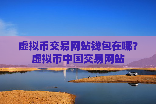 虚拟币交易网站钱包在哪？虚拟币中国交易网站