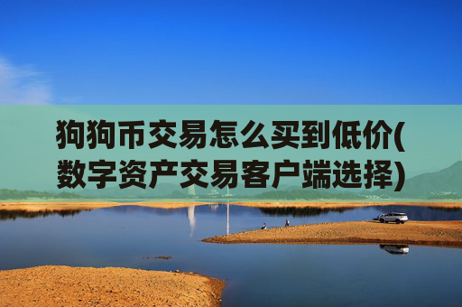 狗狗币交易怎么买到低价(数字资产交易客户端选择)