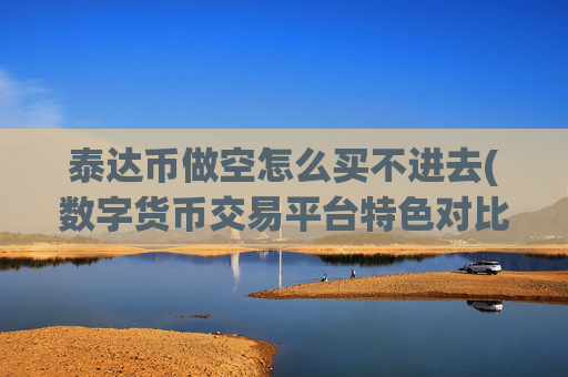 泰达币做空怎么买不进去(数字货币交易平台特色对比)