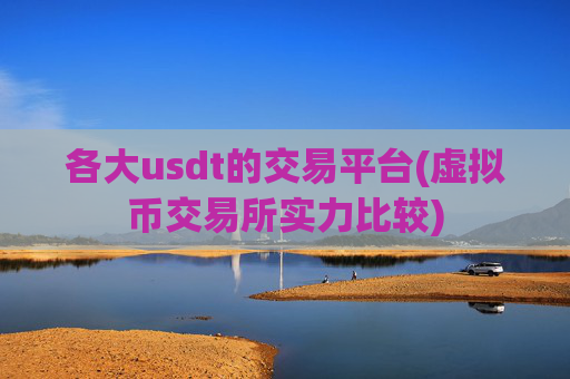 各大usdt的交易平台(虚拟币交易所实力比较)