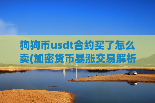 狗狗币usdt合约买了怎么卖(加密货币暴涨交易解析)