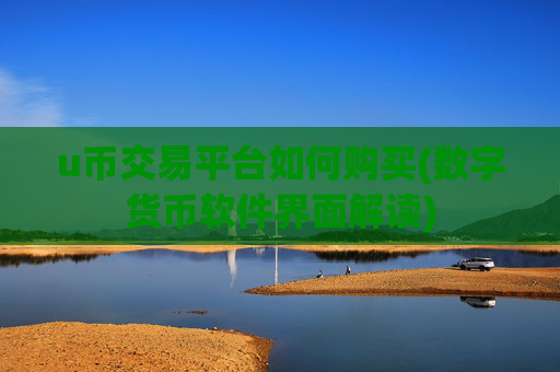 u币交易平台如何购买(数字货币软件界面解读)