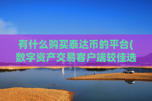 有什么购买泰达币的平台(数字资产交易客户端较佳选择)