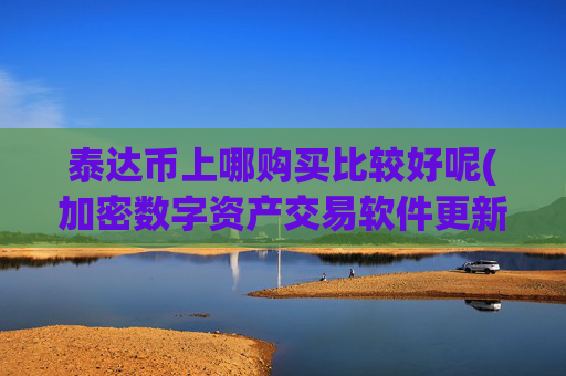 泰达币上哪购买比较好呢(加密数字资产交易软件更新)