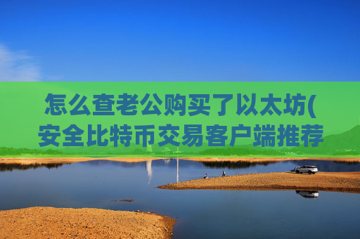 怎么查老公购买了以太坊(安全比特币交易客户端推荐)