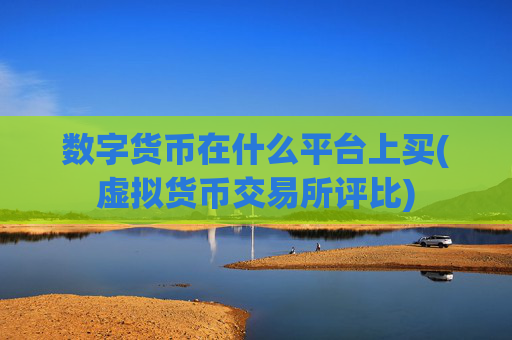 数字货币在什么平台上买(虚拟货币交易所评比)