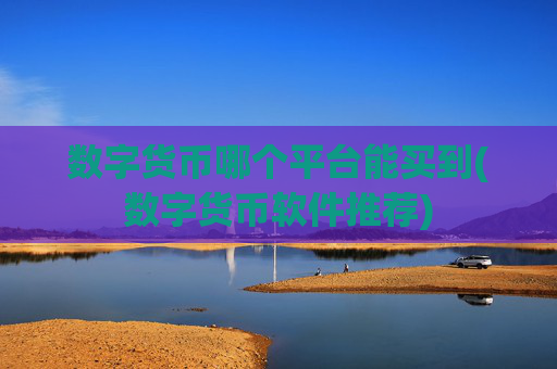 数字货币哪个平台能买到(数字货币软件推荐)
