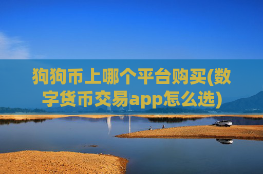 狗狗币上哪个平台购买(数字货币交易app怎么选)